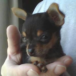 Meet your Posher, Catherine